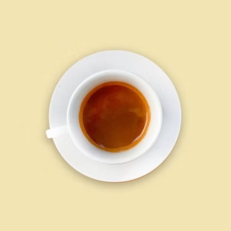 Indulge in Our Lattes
